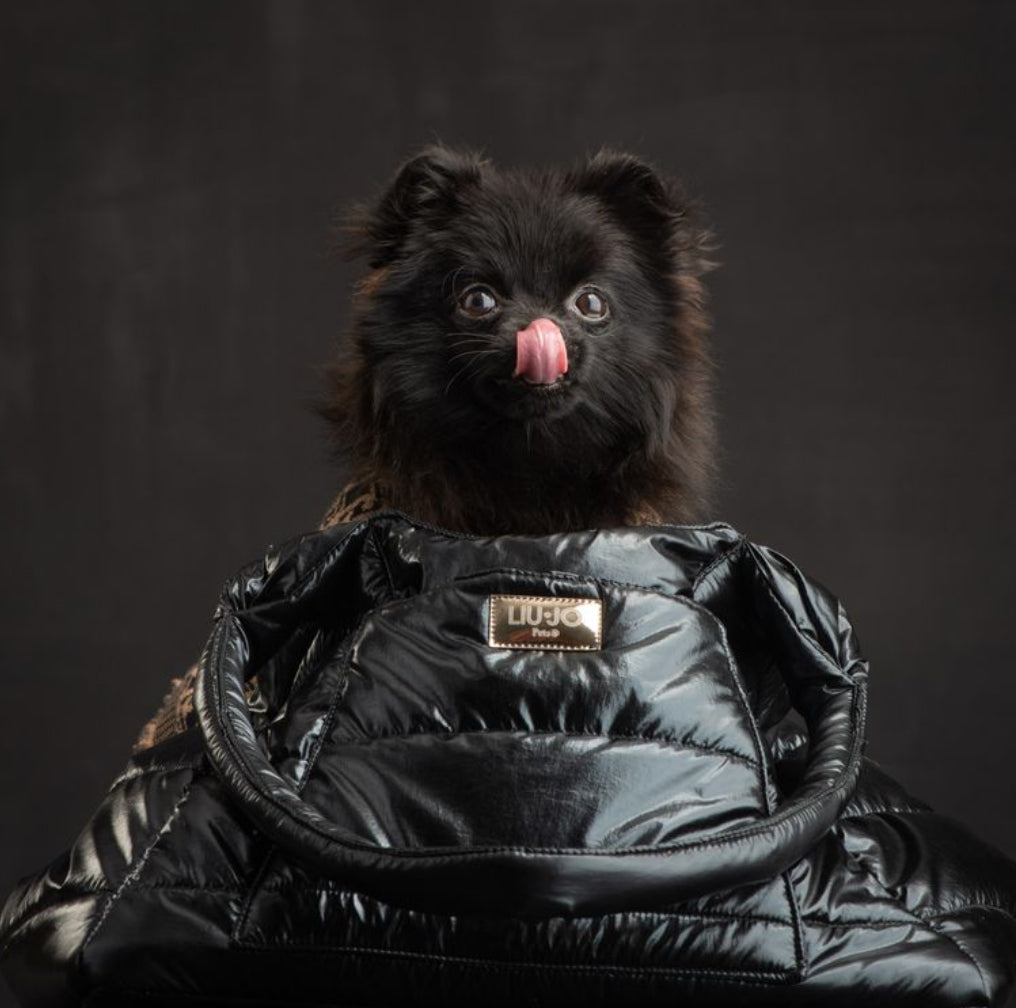 Elegant chique Bag LIU JO PETS Black ( LEVERING Sept 25)
