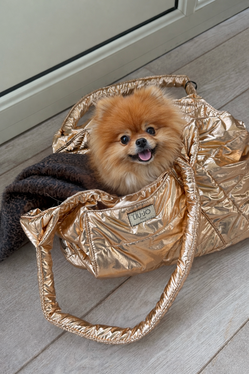 Elegant chique Bag LIU JO PETS Rame